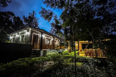 The Stone Villa and its verandah lit up at night, seen through the trees