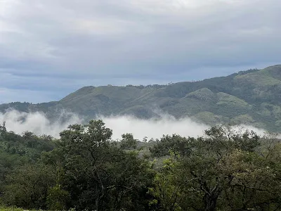 Low cloud drifting beneath a green ridge above the forest