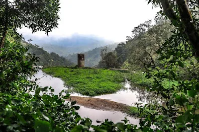 A ruined stone tower on a grassy islet in a still pool, framed by leaves, with misty hills behind